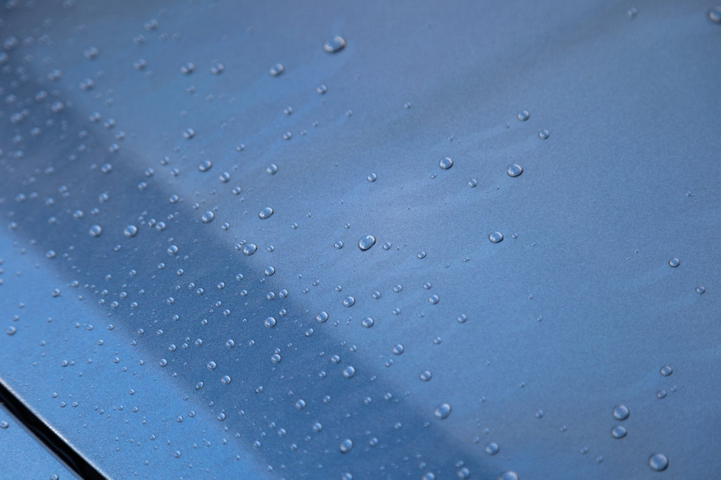 Wet Coat 500ml