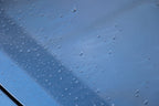 Wet Coat 500ml