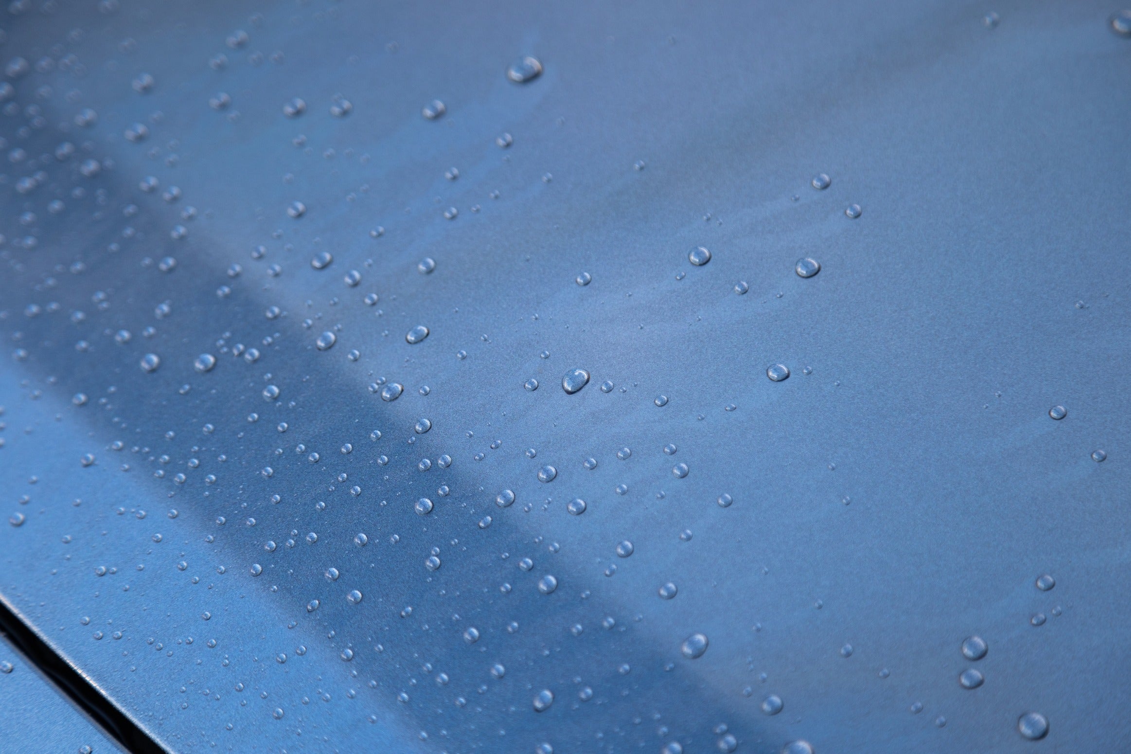 Wet Coat 500ml