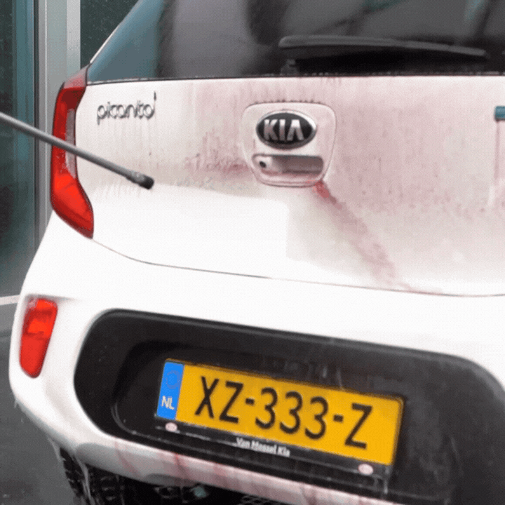 Fallout Remover 500ml | Iron remover