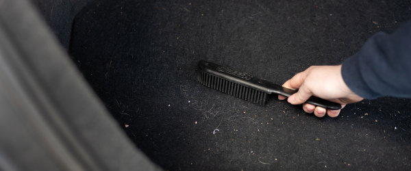 Hero afbeelding Hoe verwijder ik hondenharen uit de bekleding?