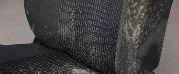 Hero afbeelding Hoe verwijder ik schimmel uit mijn auto?