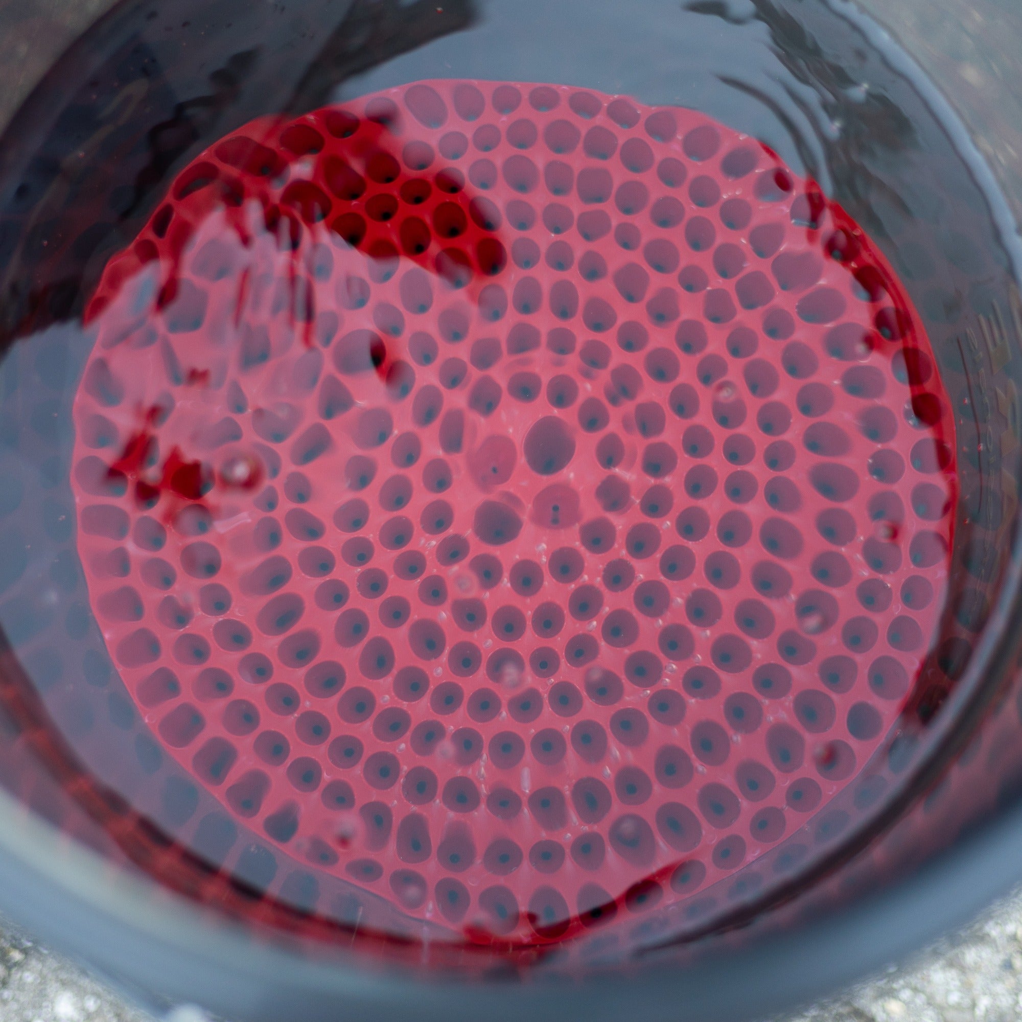 Professionele Grit Guard | Cartec